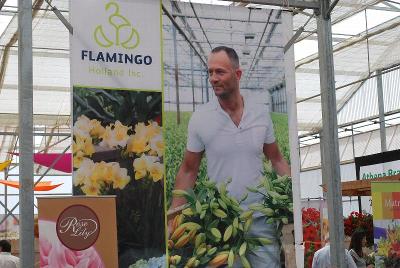 As Seen @ Flamingo Holland Spring Trials, 2014: Welcome to Flamingo Holland's Spring Trials @ GroLink, Oxnard, CA 2014.