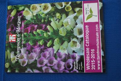 Seen @ Spring Trials 2016.: From Thompson & Morgan Spring Trials, 2016 @ Speedling:  Our 2015-2016 Wholesale Catalogue.  Innovation for All Seasons.  Experts in the Garden Since 1855.   Learn more @ TandMWholesale.com