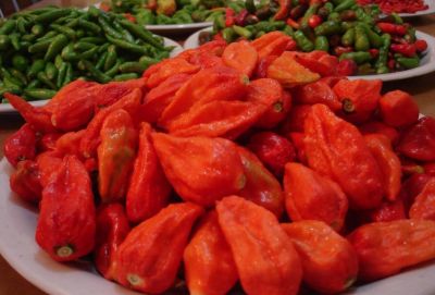  Pepper Naga Jolokia 