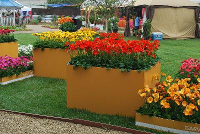 Seen @ Spring Trials 2016.: As seen at Florist Holland @ GroLink Spring Trials 2016.   Featuring several full lines of Gerbera in all shapes, colors and sizes.  Absolutely stunning, perhaps the most eye-pleasing of all Spring Trials specimens.