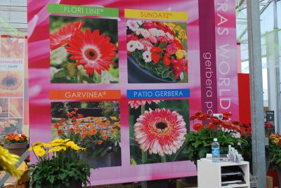 Florist Holland: Spring Trials 2014 Recap