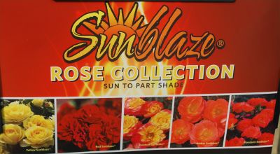 Sunblaze&reg; Rose Collection: Sun to Part Shade beauties.