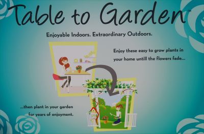 Table to Garden&trade; Banner: Enjoyable Indoors.  Extraordinary Outdoors.  Enjoy these easy to grow plants indoors until the flower fades, then plant outdoors for years of enjoyment.