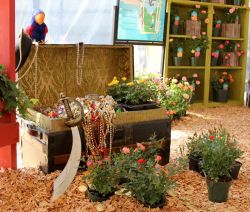 A Treasure Trove: Knock Out &trade; roses are a real treasure.